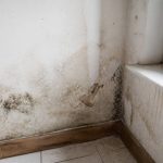 Appartement humide : causes, solutions et conseils pour assainir votre logement
